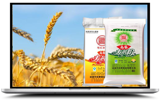 公司简介